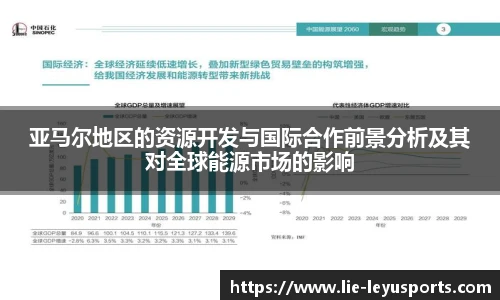 亚马尔地区的资源开发与国际合作前景分析及其对全球能源市场的影响